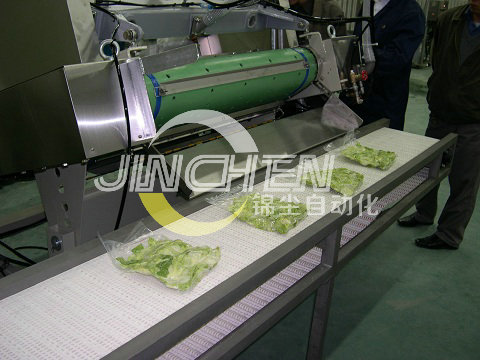 塑鋼網帶輸送機